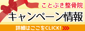 お得なキャンペーン情報はこちら!